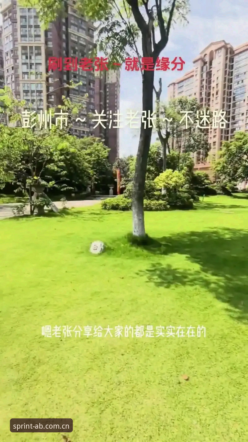 AB体育下载 揭秘AB体育下载背后的真相:老张的真实体验与高效解决方案
